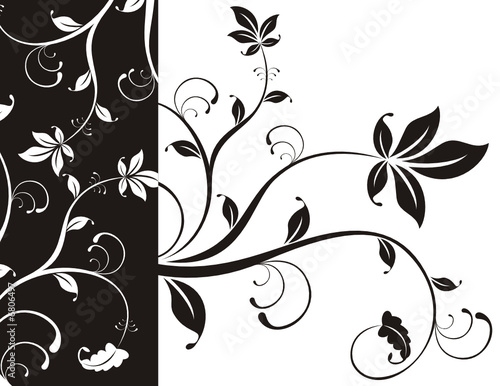 fondo tinta vegetal