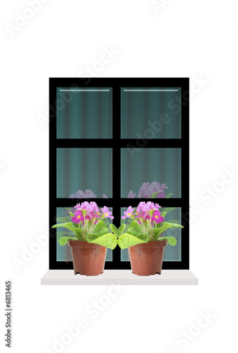 Finestra primaverile