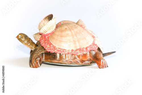 Turtle