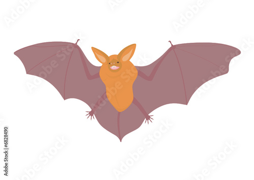 Fledermaus(www.fertig-unterricht.de)