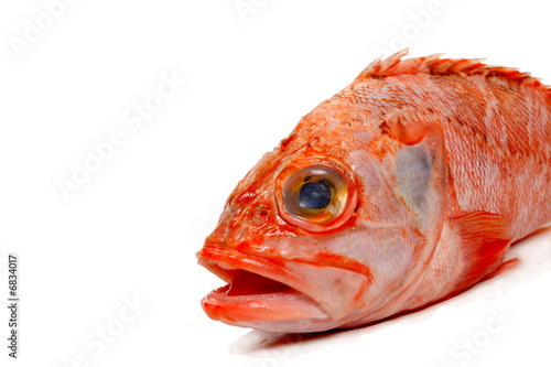 Radfish