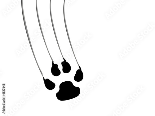 Fototapeta Naklejka Na Ścianę i Meble -  Tiger Claw Animal