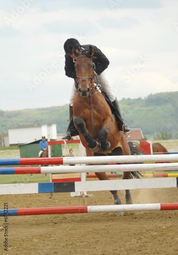 horse and rider © muro