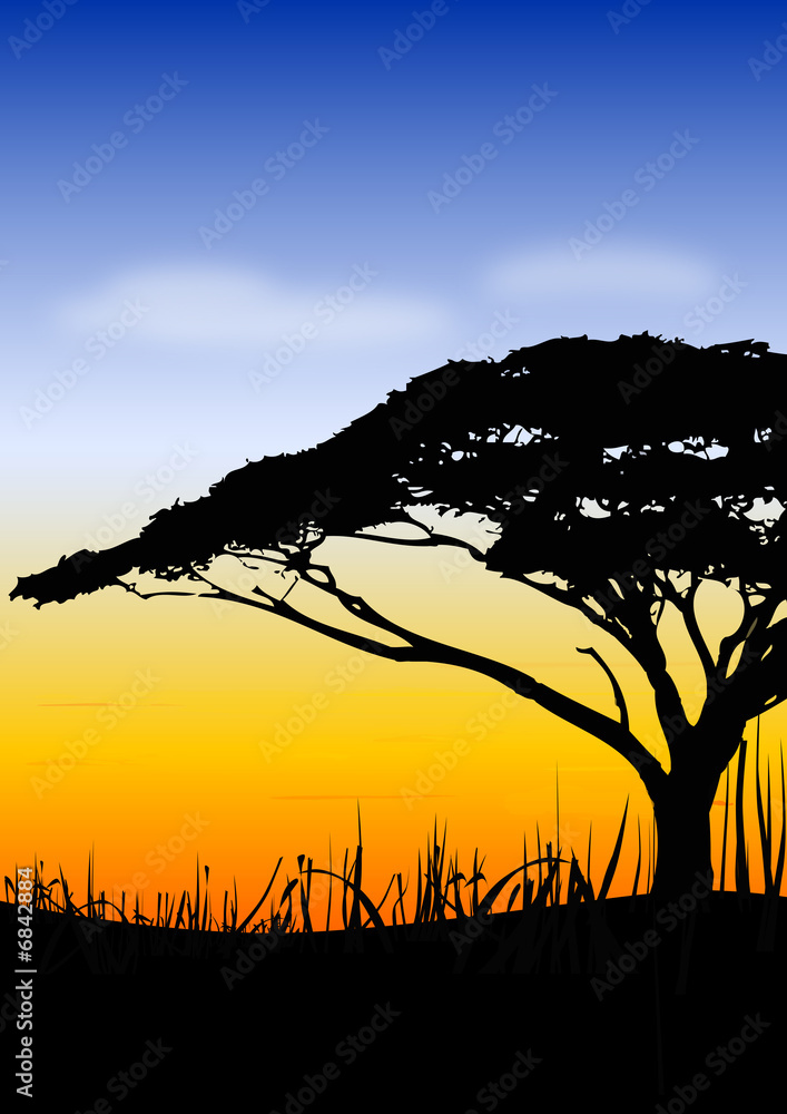 Africa sundown