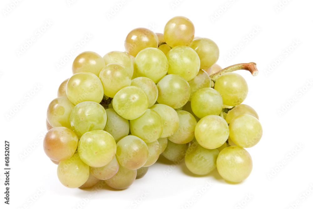 Bunch of White Wine Grape