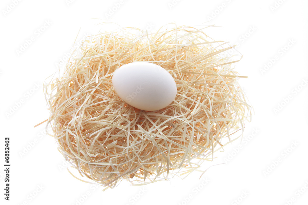 White Egg on Straw Nest White Egg on Straw Nest