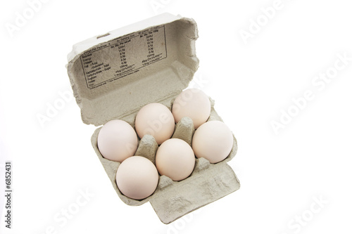 White Eggs on Egg Carton