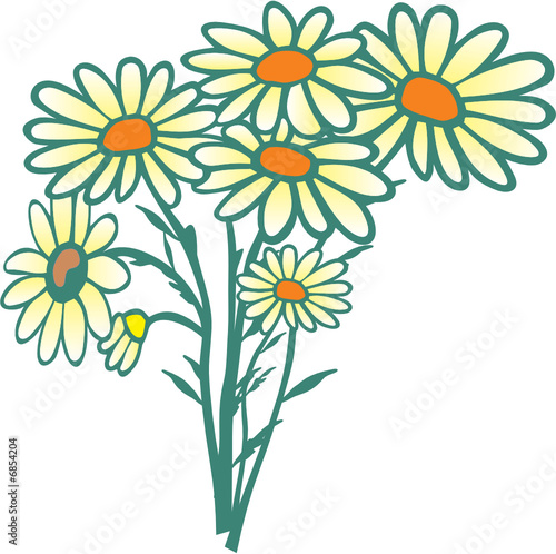 FLEURS FT 1