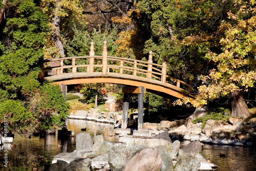 Bridge in Japanese Garden