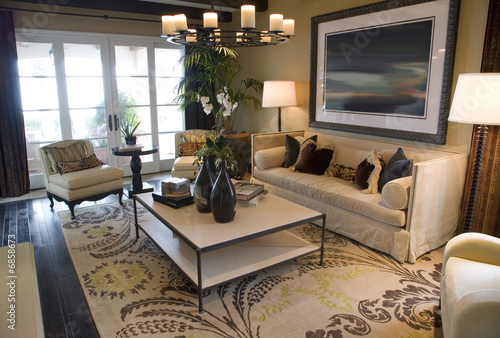 Living room with contemporary furniture and decor.