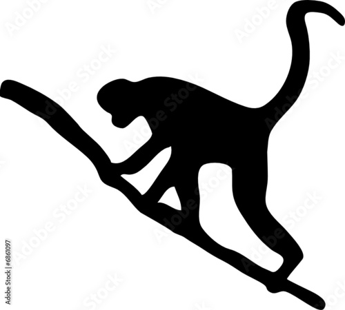 Affe
