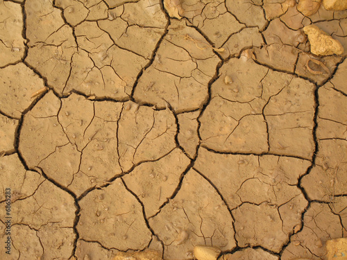 terre craquelée et assechée