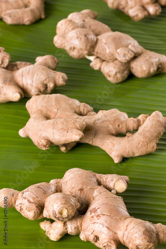 Gingers