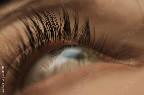 Auge / Eye