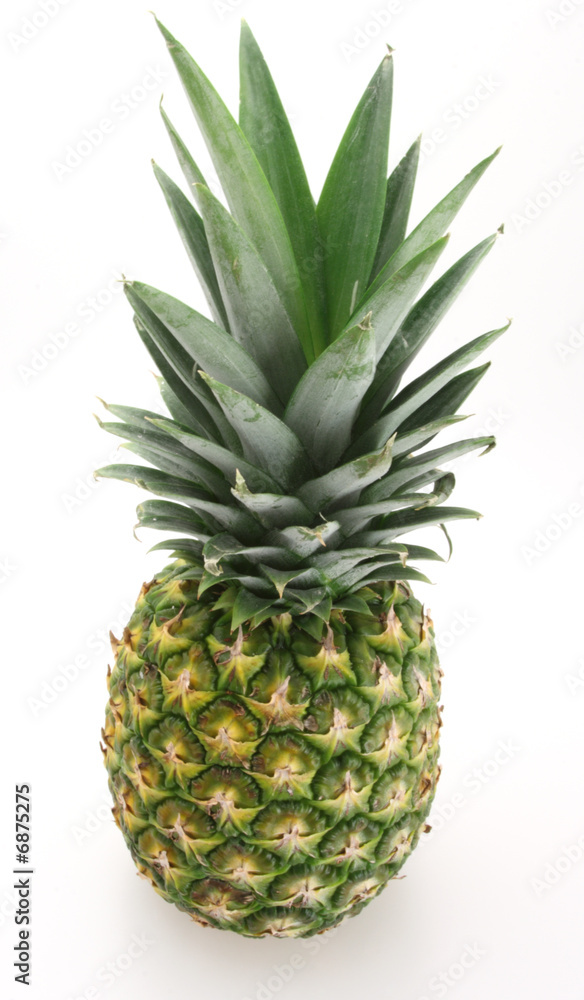 Fresh Pineapple