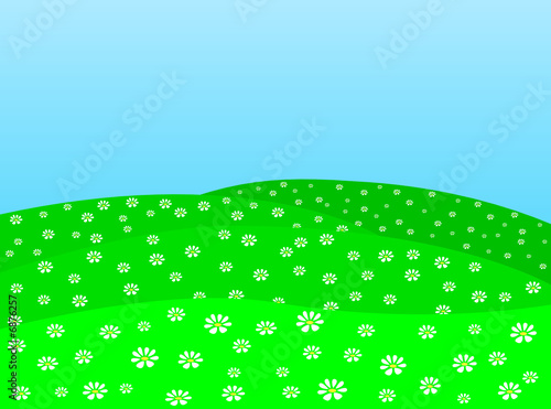 daisy field vector
