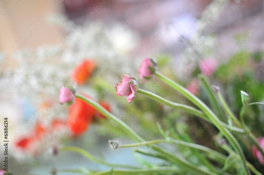 Flowers ( Bouquet de fleurs )