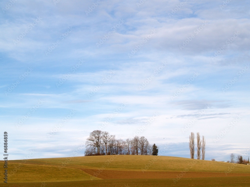 Obraz premium paysage rural