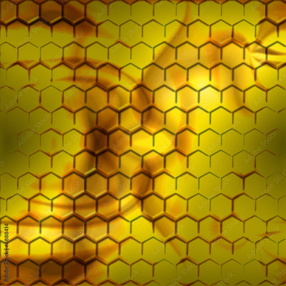 Inside the beehive Inside the beehive