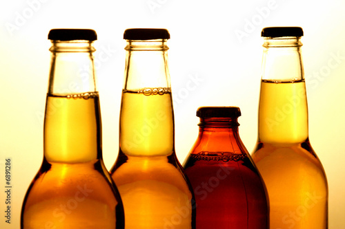 Beer Bottles