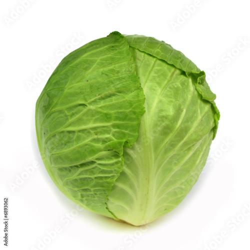 Cabbage green isolated on white background