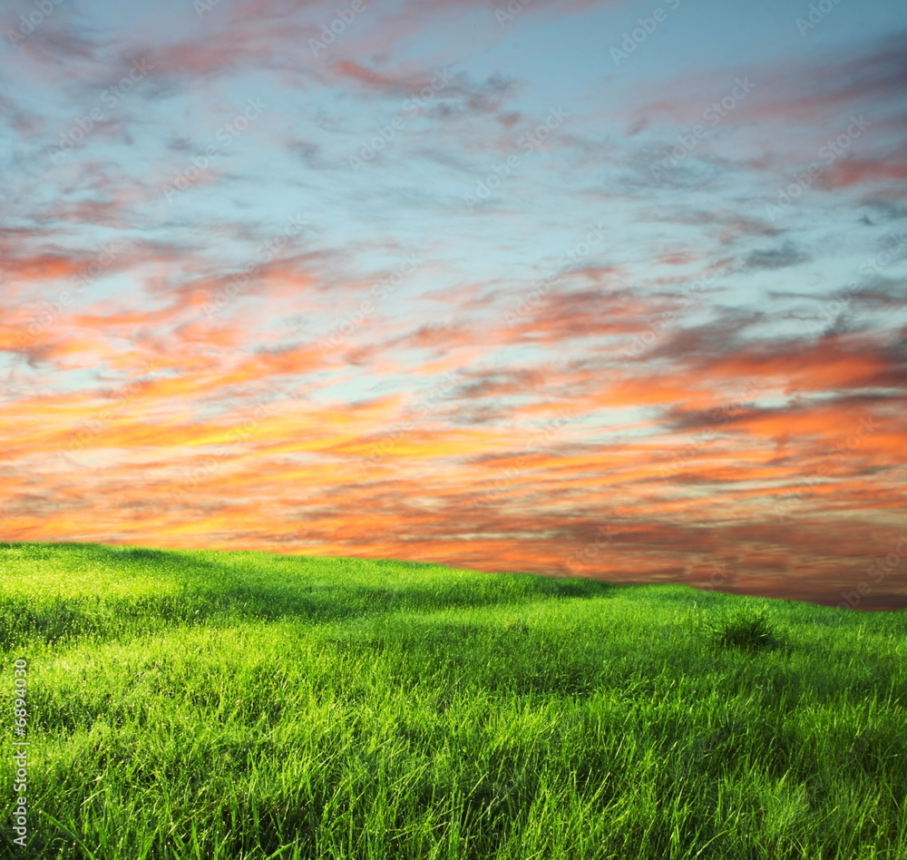 Grassland on sunset