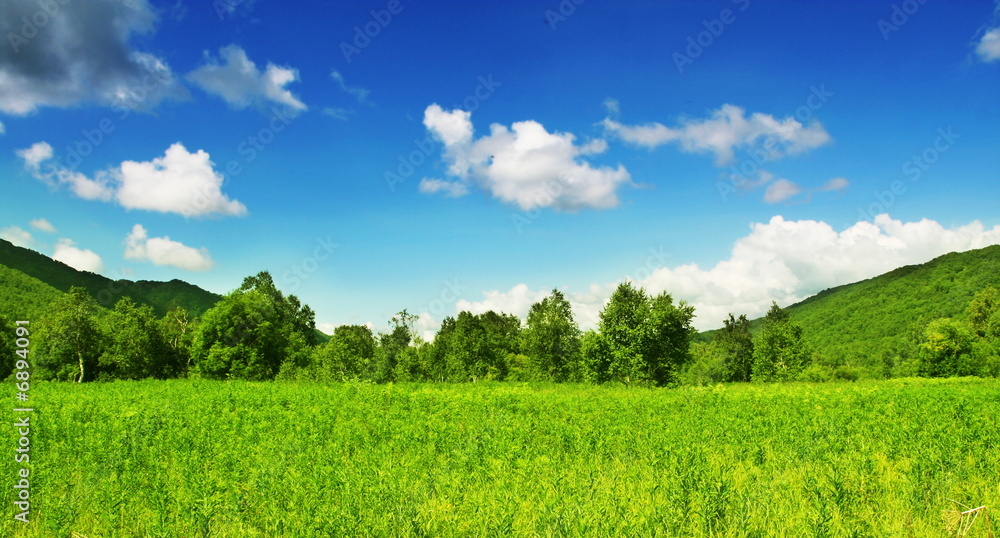 Fototapeta premium Mountain meadow