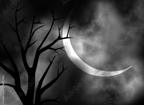 Black and white moonlit night