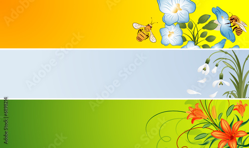 Three variant flower banner with snowdrop, bee, lily, vector