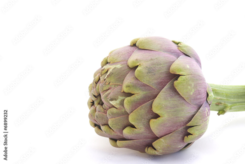Obraz premium Artichoke