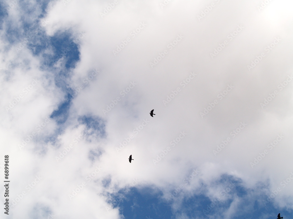 Fototapeta premium ciel provence