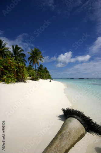 ile déserte des maladives  photo