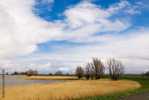 beautiful dutch landscape