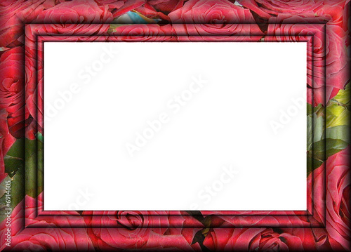 cadre roses