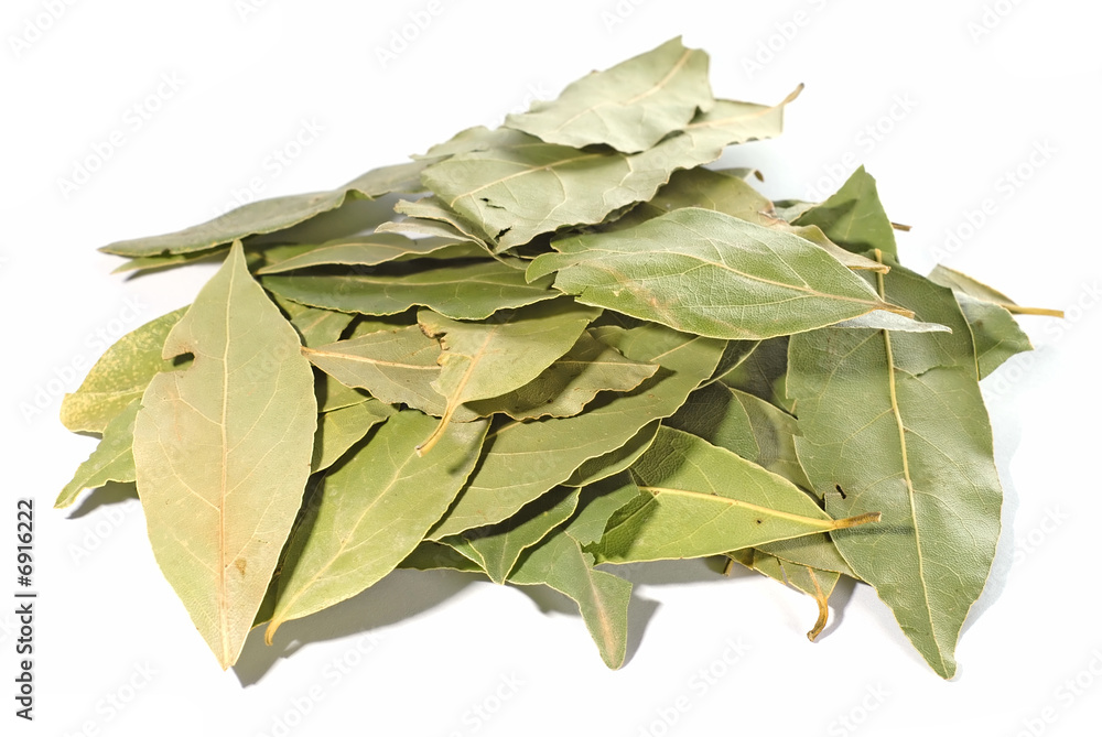 Dried bay leaves isolated on white background