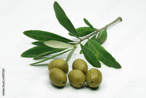 Frische Oliven