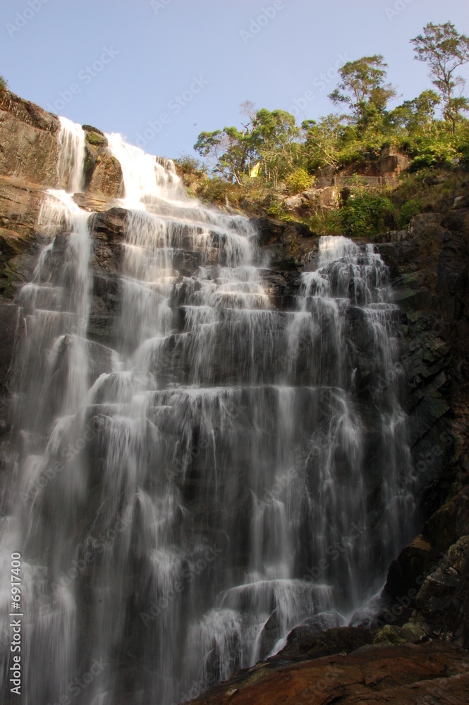 Obraz premium Waterfall in the forest