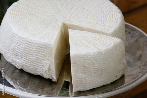 Cheese