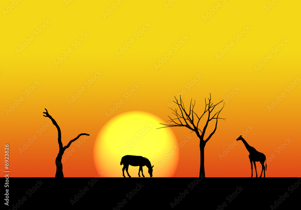 african safari landscape