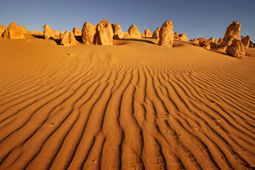 Fotobehang Australië Pinnacles woestijn in West-Australië  © robepco