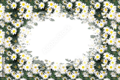 Obraz na plátně cadre marguerites