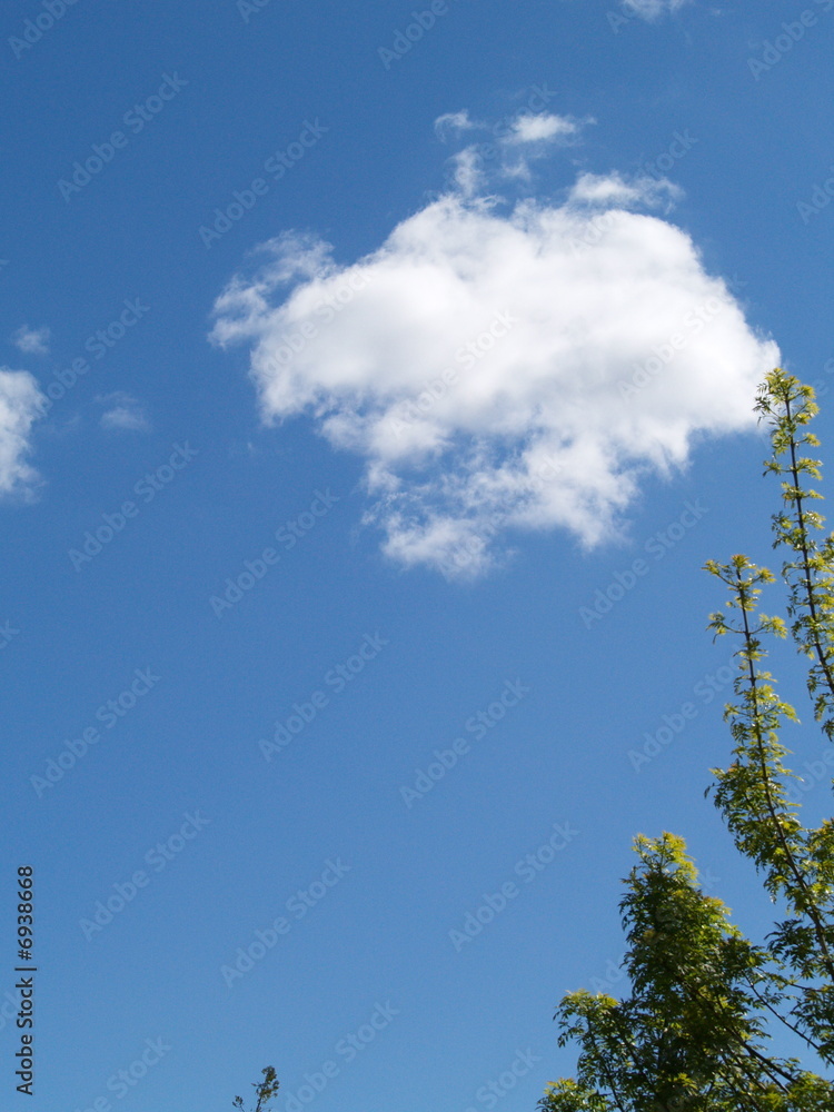 Fototapeta premium ciel Provence