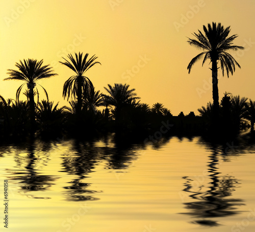 Palmiers et reflet © AlexQ
