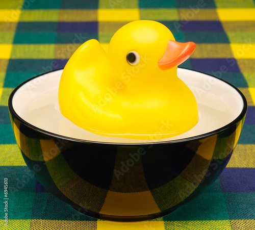 Yellow Duck in the Black Bowl
