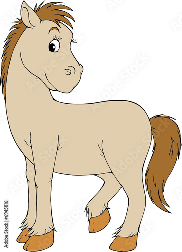 Horse