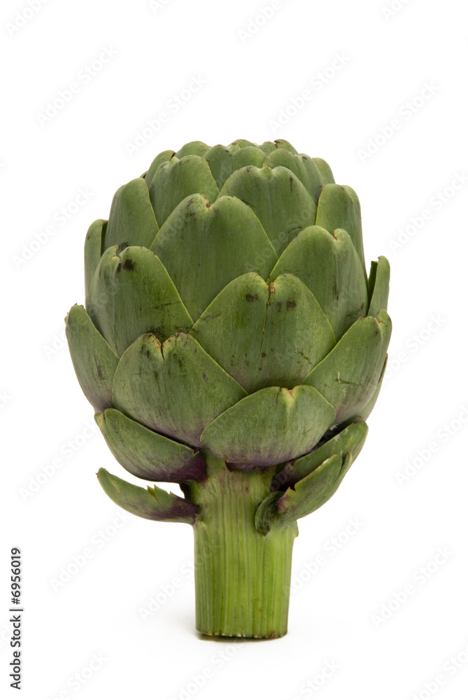 Obraz premium Artichoke