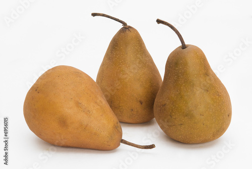 Pears photo