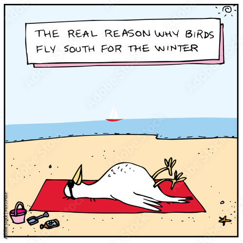Why Birds Go South
