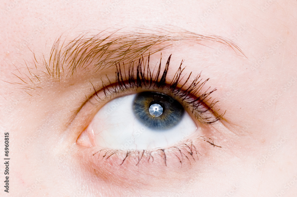 Fototapeta premium Closeup shot of eye