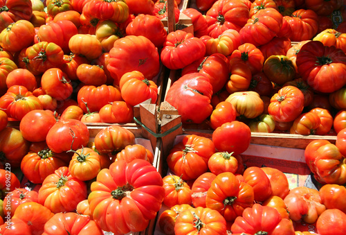 Tomaten auf Markt in Palermo